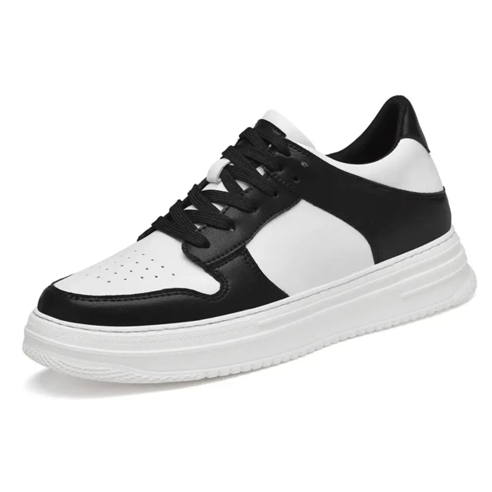 Zenon - 8cm
