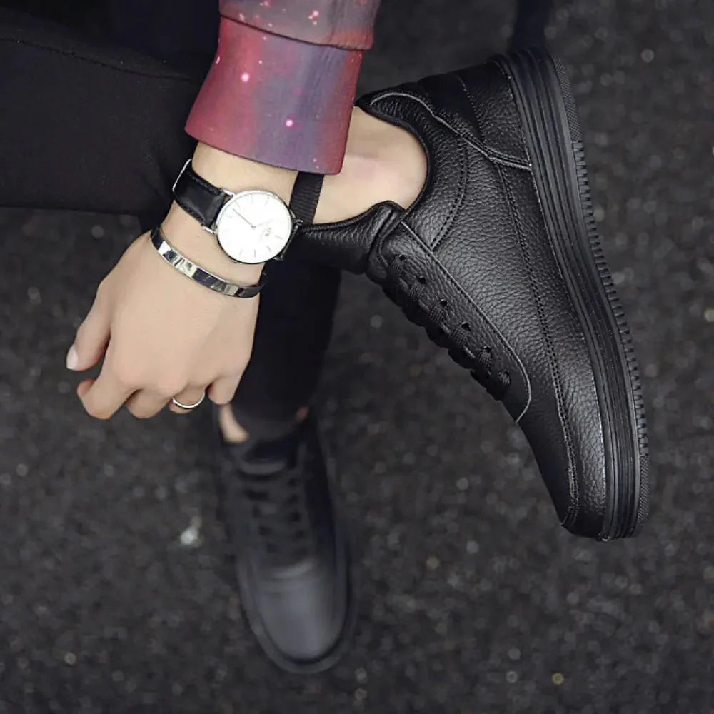 Cassio - 8cm